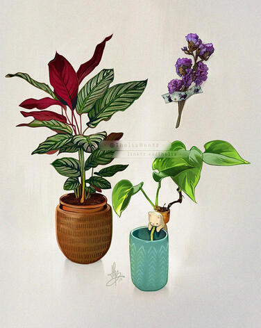 Studies-plants01 Studies-plants01